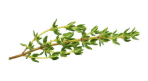 Tomillo 250g tomillo 250g